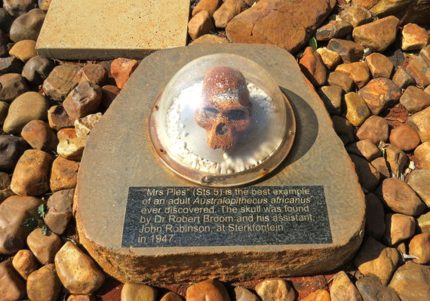 cradle of humankind markasine tours