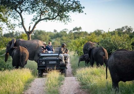 kruger national park tours