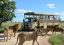 lion safari markasin tours