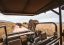 pilanesberg markasin tours